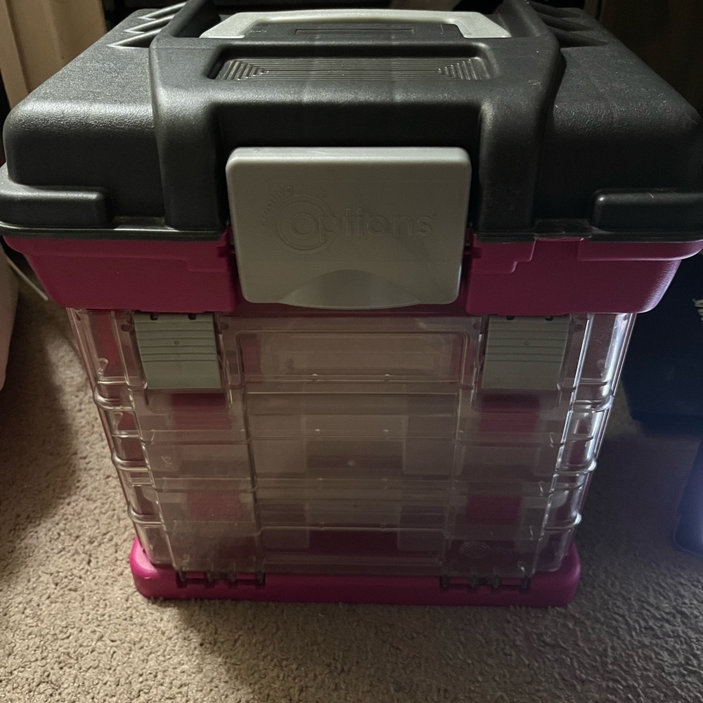 Pink and Black Storage Organizer